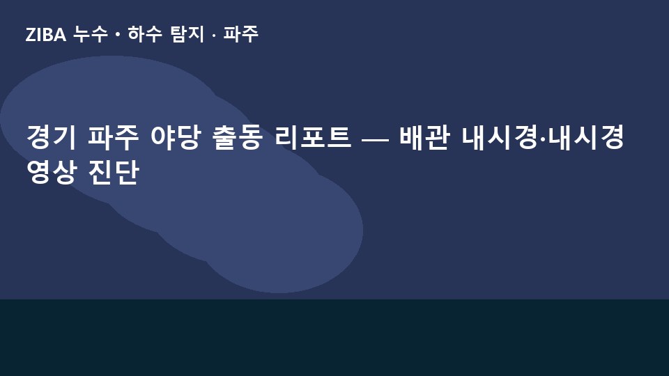 경기 파주 야당 출동 리포트 — 배관 내시경·내시경 영상 진단